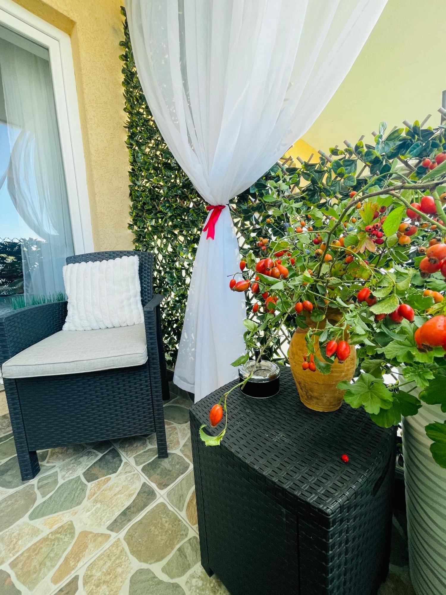 Aici Te Simti Ca Acasa Apartment ยาช ภายนอก รูปภาพ