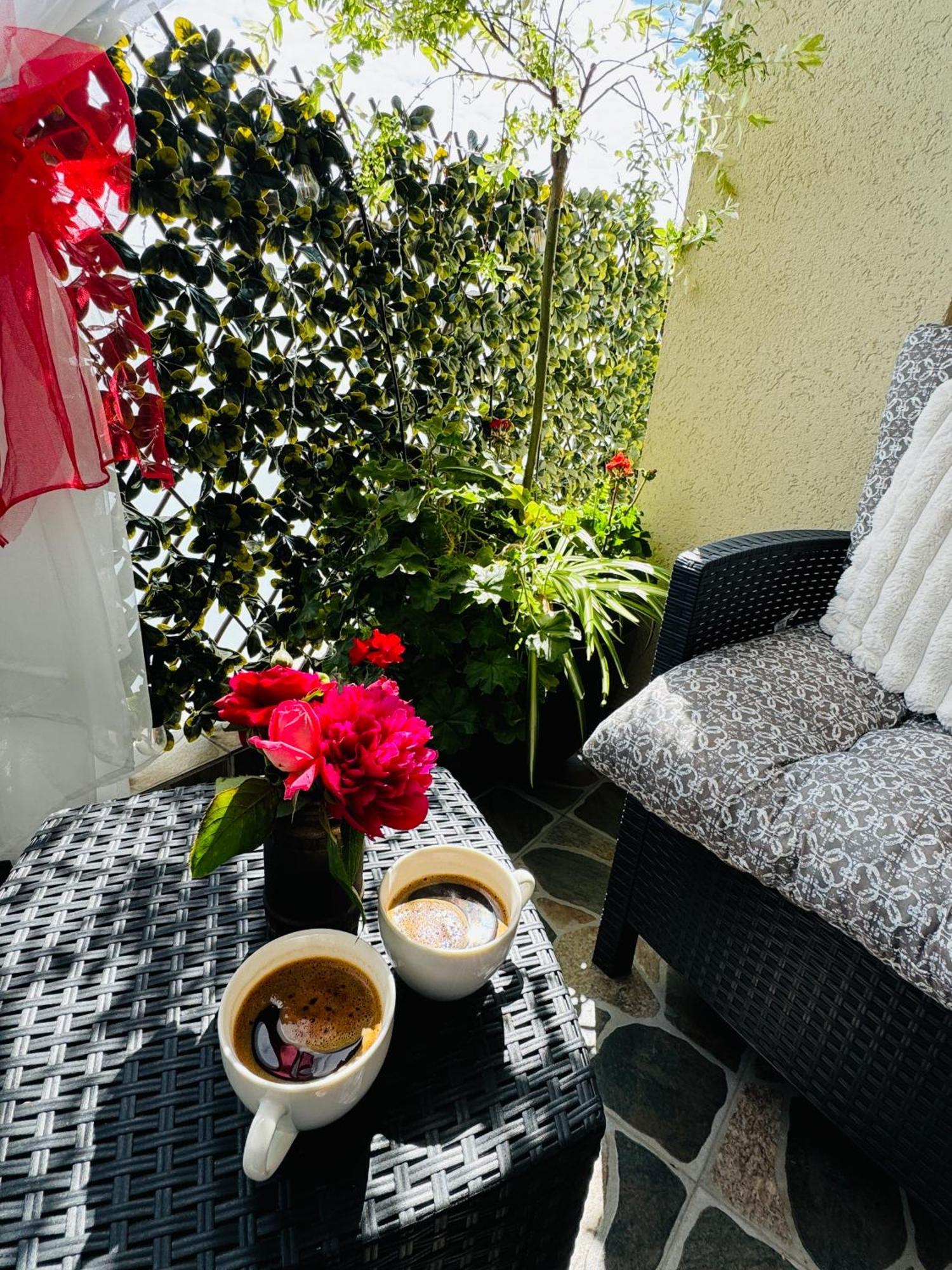 Aici Te Simti Ca Acasa Apartment ยาช ภายนอก รูปภาพ